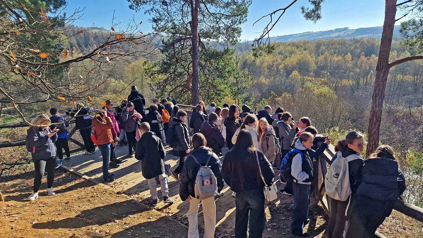 Zielona szkoła kl. 6a i 6b w Jodłówce Tuchowskiej
