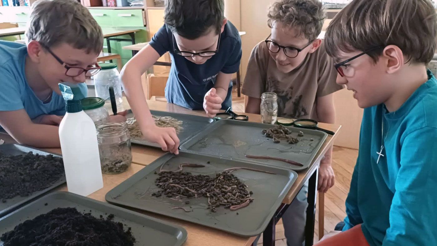 Zajęcia projektowe z przyrody dla kl. 3 - poznajemy sekrety dżdżownic