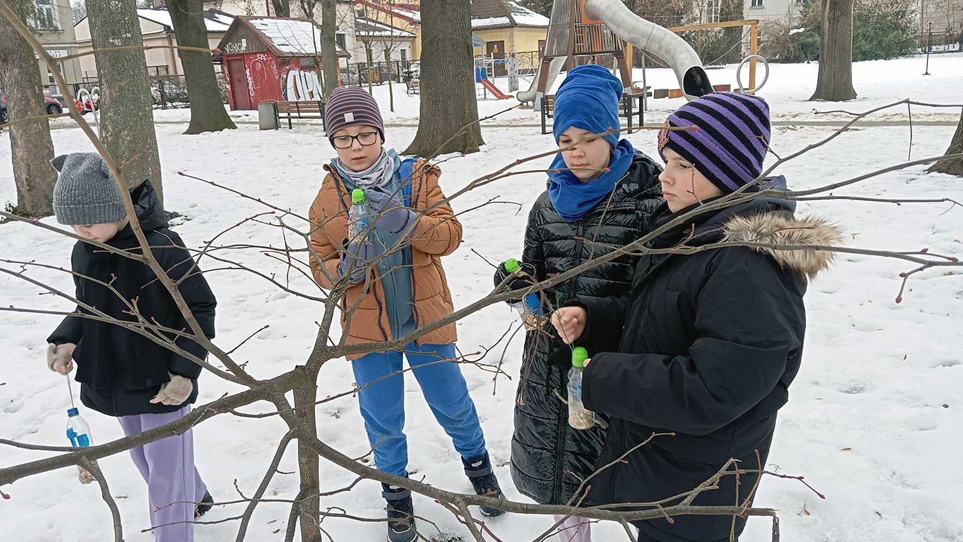 Ekologiczne karmniki dla ptaków